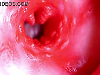 a massive red cock throbs deep in juicy hole ready to explode cum anytime