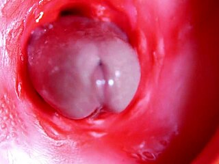 a massive red cock throbs deep in juicy hole ready to explode cum anytime