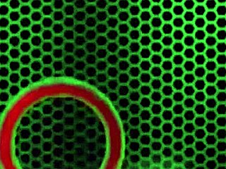 sofia rose's post gym bbc deepthroat chokes her chubby throat