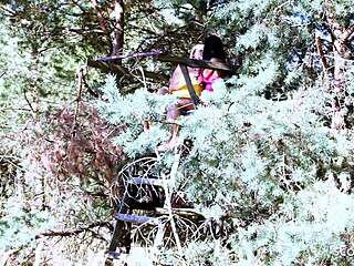 petite neighbor teens first outdoor beach lesbian toy orgasm