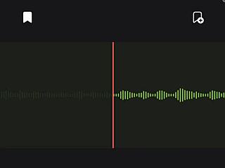 Incredible Neighbor Audio Part 2