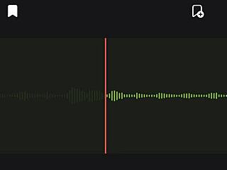 Incredible Neighbor Audio Part 2