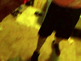 dicknastytheillest fresh prison bush balls heavy spearm load hd