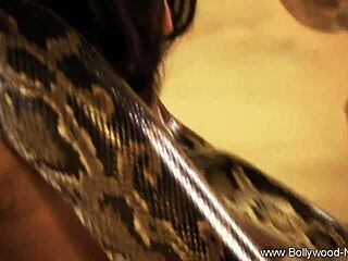 Indian Brunette Teases with Erotic Striptease and Sensual Undressing