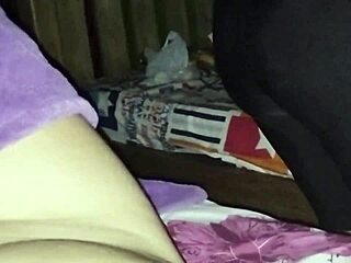 Two bisexual colombian babes ride juicy pussies creampie orgasm night