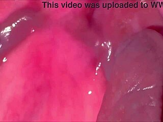 Amateur Pink Pussy After Virginity Loss