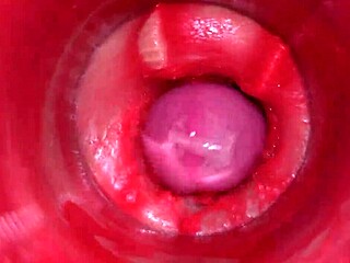 Camera inside shows powerful internal cum finish