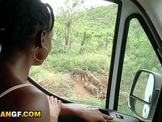 Horny ebony gf demands to suck my dick in the middle of safari trip