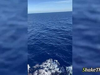 amateur babe gets fucked by boyfriend on cruise